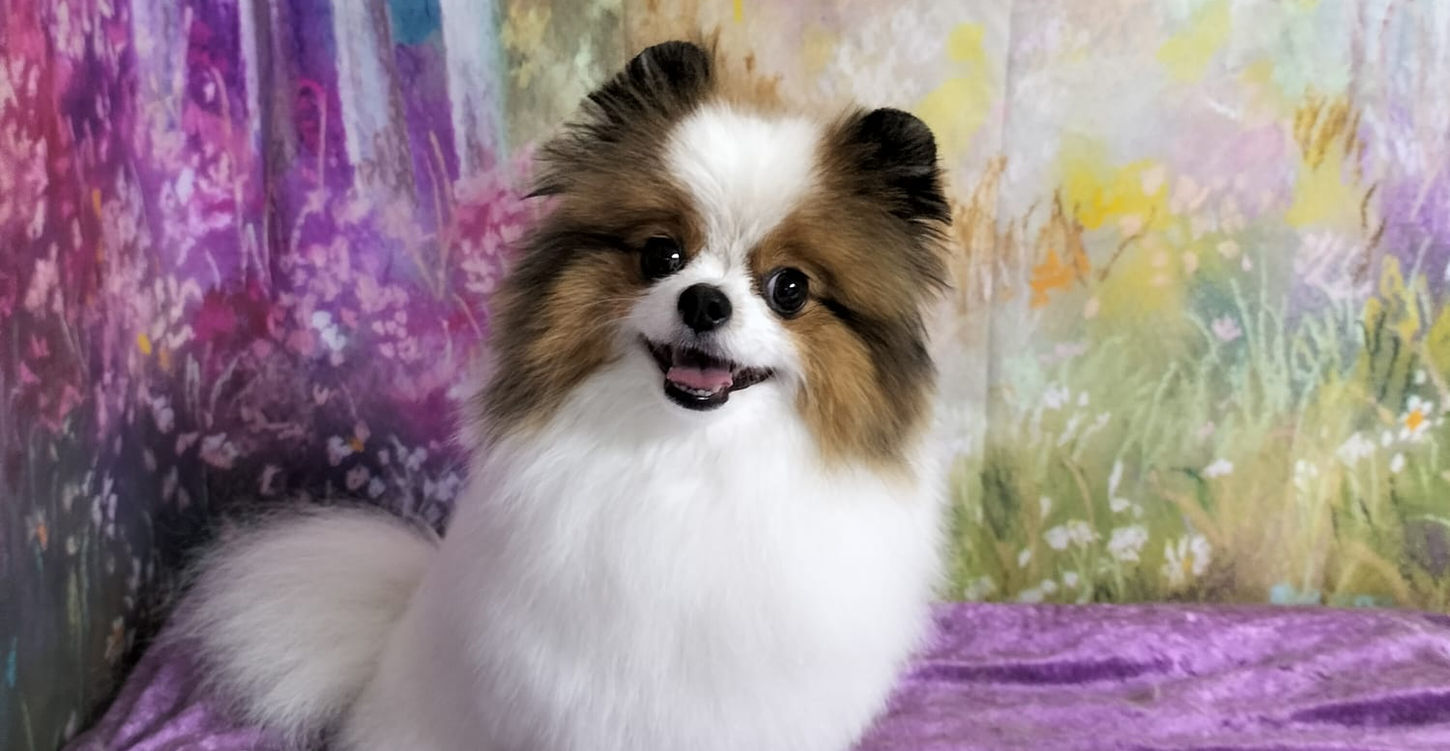 97dc72f7-7973-4a39-aa34-16d6c073e0a8 (1).jpg