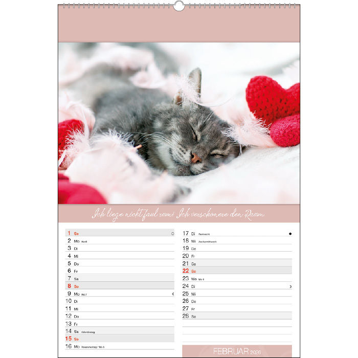 Miniaturbild: Lustige Tierwelt 2026