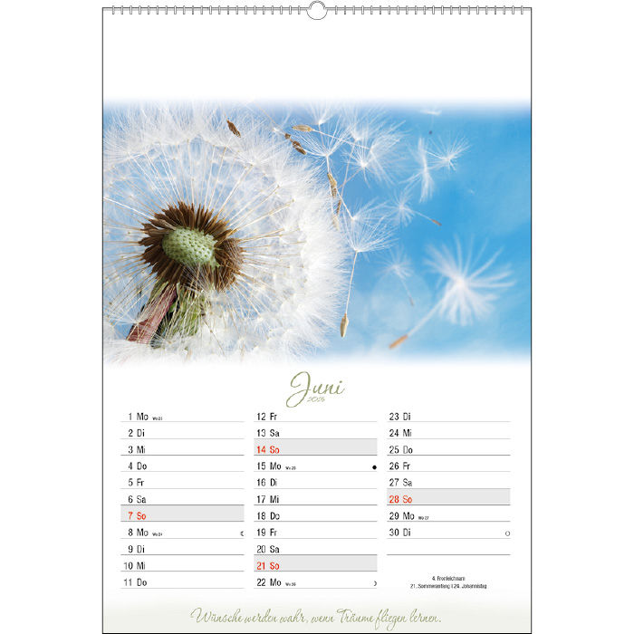 Miniaturbild: In Balance 2026