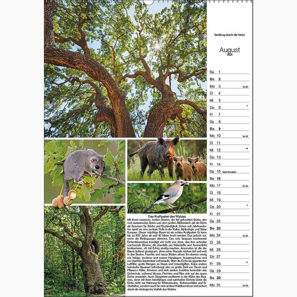 Miniaturbild: Biotope 2026