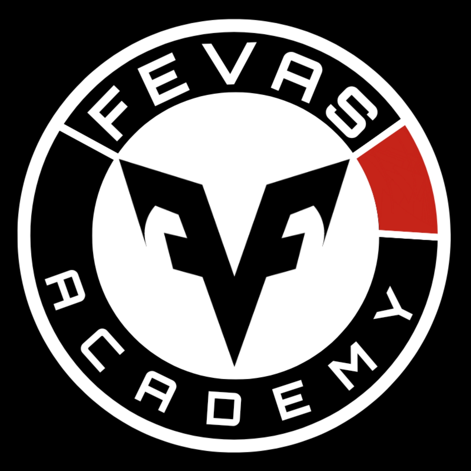 FEVAS Academy logo