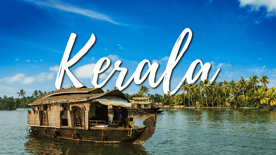 Kerala DMC - ALT DMC.png