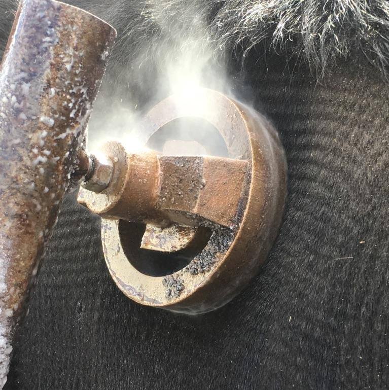brand