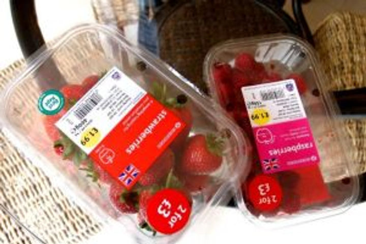 best strawberries in the world