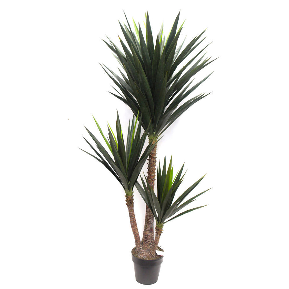 YUCCA TREE 160CM