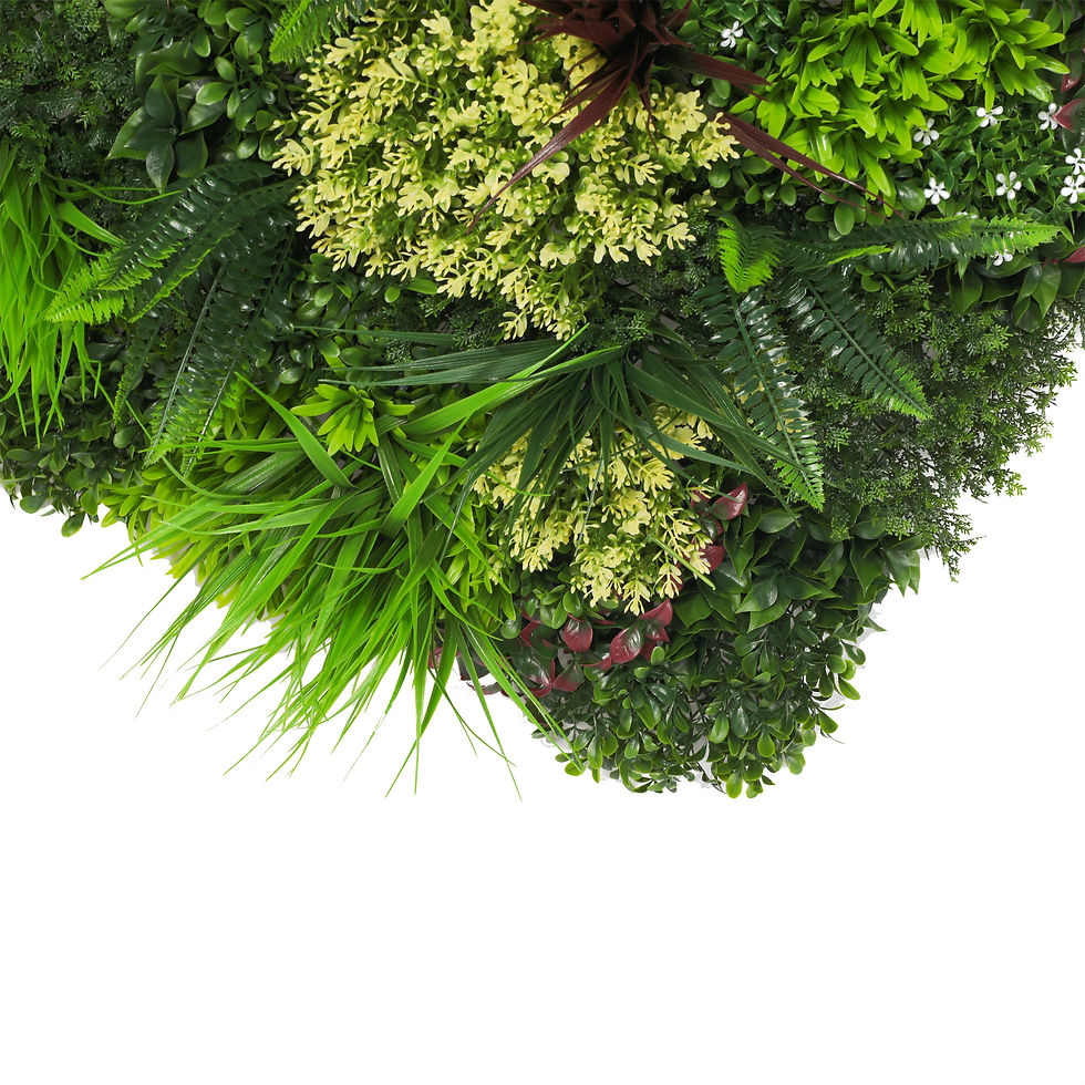 Thumbnail: DESERT FERN
