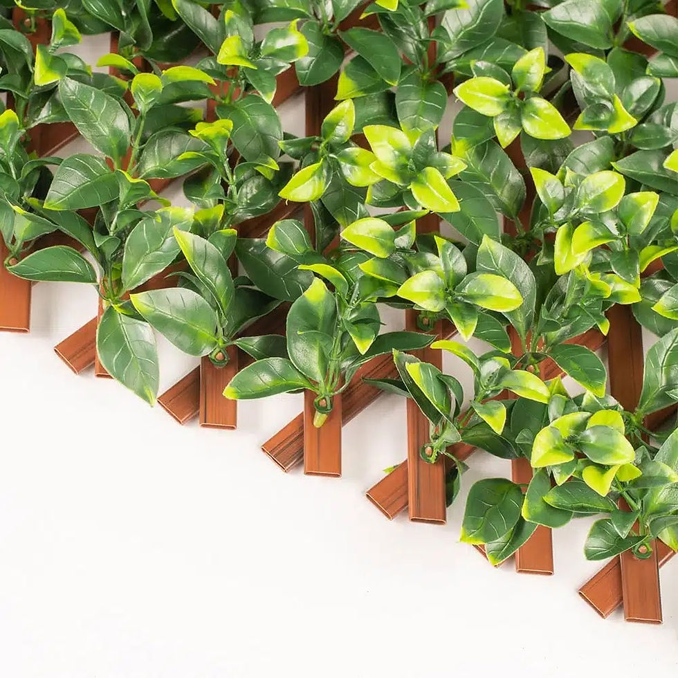 Thumbnail: EXTENDABLE HEDGE TRELLIS