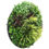 Thumbnail: SLIMLINE GRASSY FERN DISC