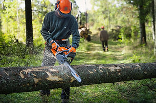 Husqvarna-450X-Chainsaw-02.jpg