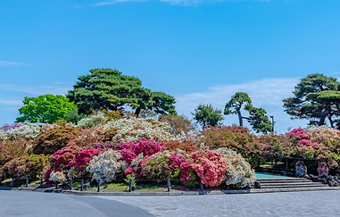 館林つつじが岡公園