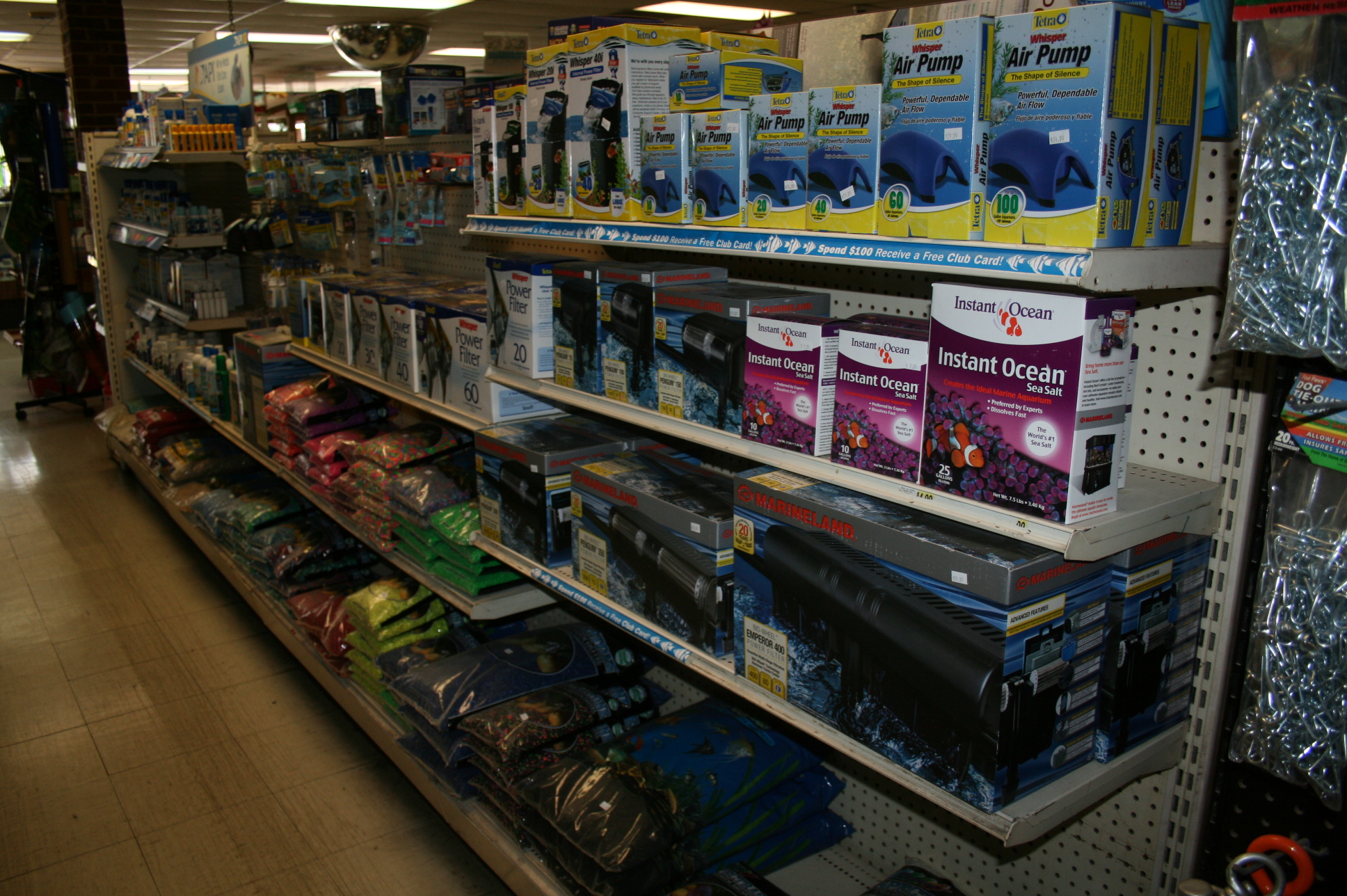 Last Place on Earth Pet Shop Fish