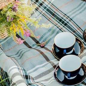 Teddy Bears Picnic Next Friday