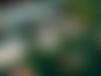 Improve odds of Hiring Success - Use Quality Workplace Personality Assessments