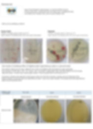 Tests 7-min.jpg