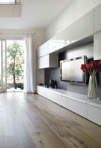 Are Smart Home Solutions a Luxury or Necessity for Modern Homes in 2025?