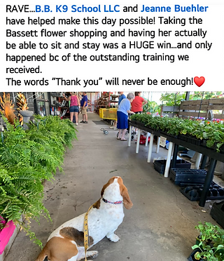 reviewbassett_edited.png