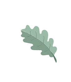 לוגו עלה 2-03.png