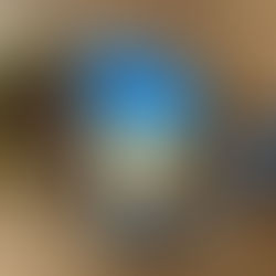 Bake Club: PB&B Cookies