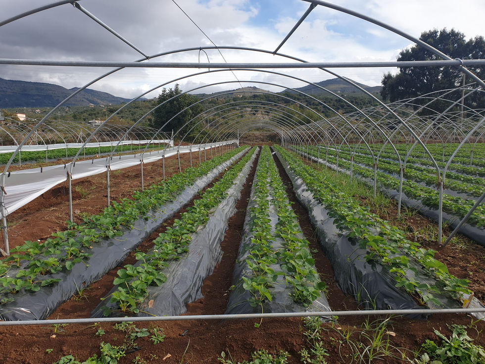 WhatsApp Image 2024-02-26 at 11.22.40