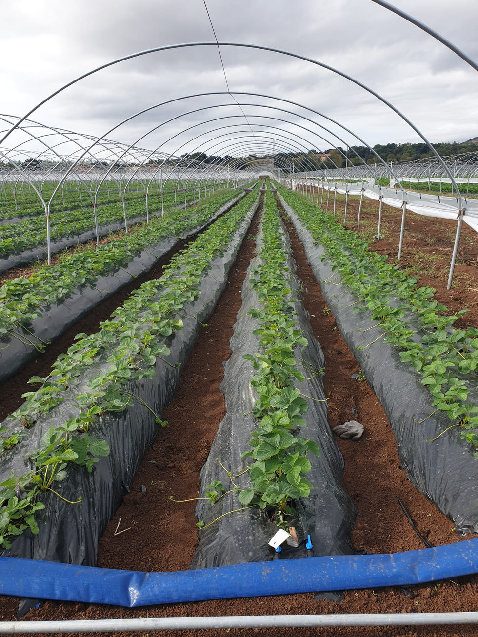 WhatsApp Image 2024-02-26 at 11.22.41 (1)