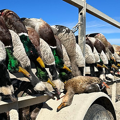 Waterfowl Hunting Packages