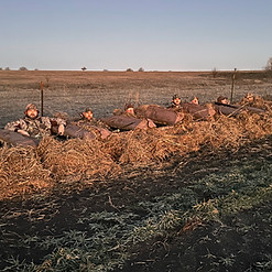 Waterfowl Hunting