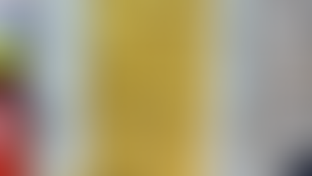 कीमत जानकर हैरान रह जाएंगे, सोने से बने 14 दरवाजे बढ़ाएंगे राम मंदिर की शोभा.....