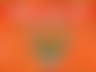 पार्टी ने बुलाई बड़ी बैठक, छत्तीसगढ़ बीजेपी के नेता आज दिल्ली में.....