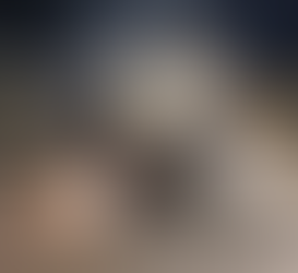 युवा पत्रकार राहुल त्रिपाठी की स्विफ्ट कार पलटने से हुई मौत....