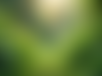 The Importance of Sustainable Living in Today's World