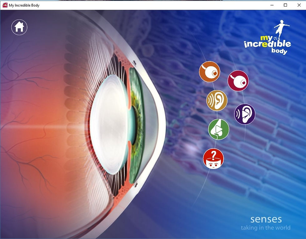 Miniatura: My Incredible Body, Anatomía Para los Niños / PC en DVD-ROM