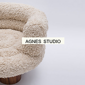 agnes studio.png