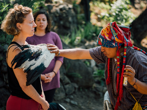 Florida Water: Spiritüel Alemin Büyülü İksiri