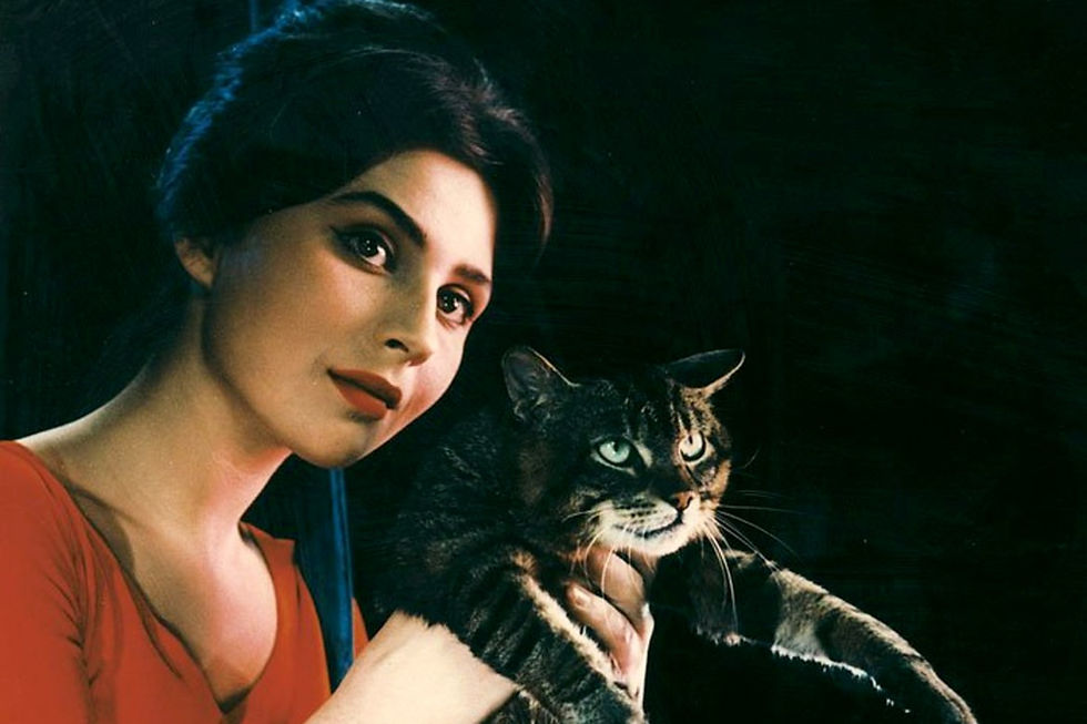 Still do filme "Um dia, Um Gato"