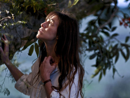 A Árvore | Julie Bertuccelli | 2010 |França/Austrália/Alemanha/Itália/EUA |