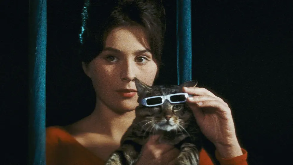 Still do filme "Um dia, Um Gato"