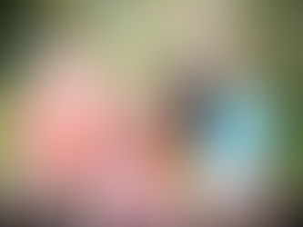 Mini Sessions Planned for 2022