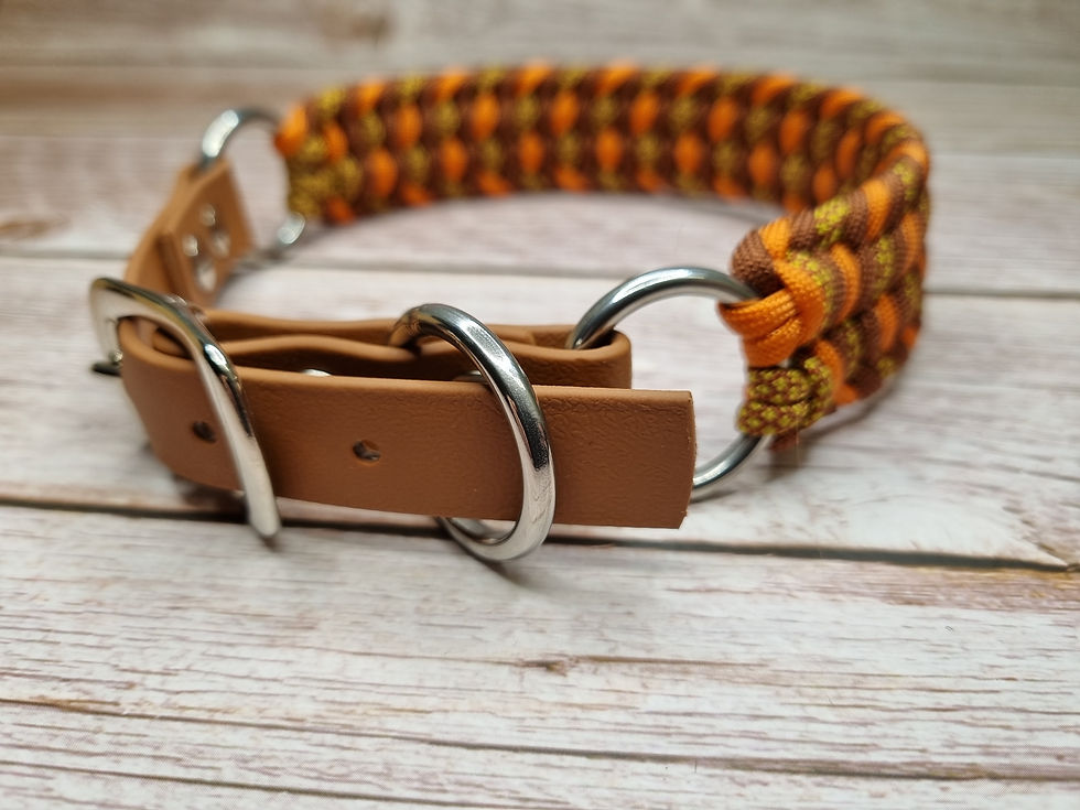 Halsband 36cm - 42cm verstellbar