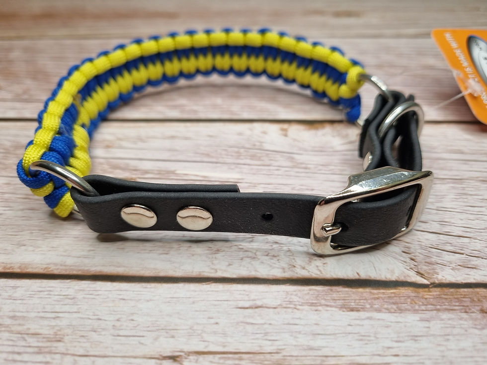 Halsband 31cm - 37cm verstellbar