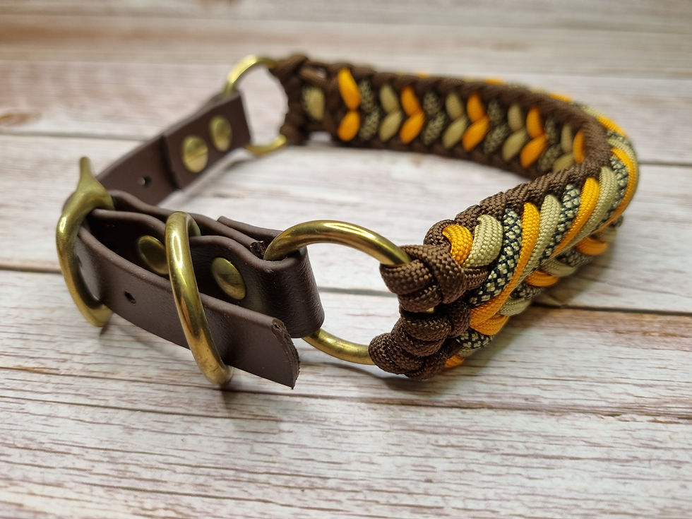 Halsband 31cm - 37cm verstellbar