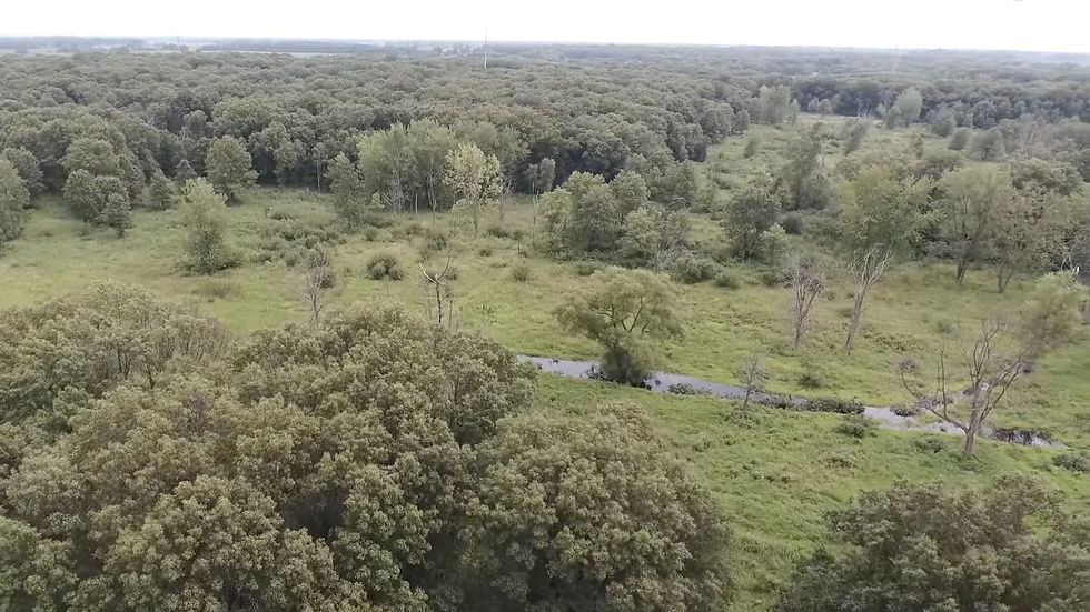 Aerial view of a lush green forest with a winding river. Dense trees cover the landscape, creating a serene, natural scene under a cloudy sky.