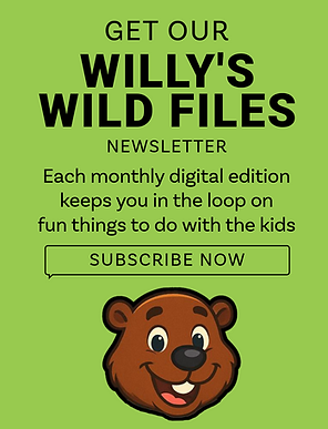 willyswildfiles.png