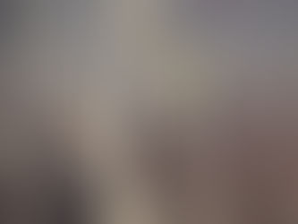 A small bird with yellow and black feathers perches on a dry plant in a blurred, muted landscape, creating a peaceful scene.