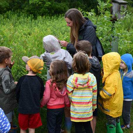 Nature, education and exploration grow together at Goodenow Grove