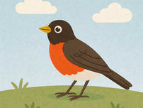 An illustration of a robin, with dark feathers and brightly colored underbelly on a blue backgroun.