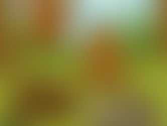 See if you can ID all of these animals