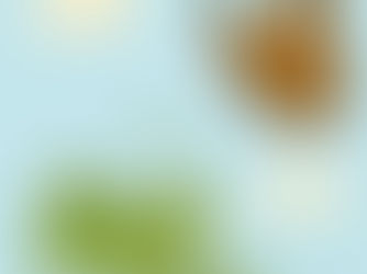 Test yourself on incredible insects