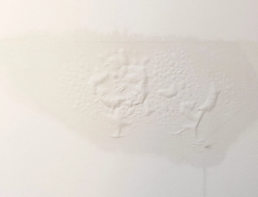 Screenshot 2026-01-29 at 11.58.28 AM.png