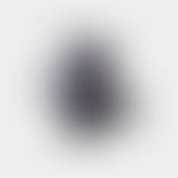 Should you tell your Pet Sitter if you have a camera?