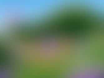 Daise targets Gen Z with its ʺmood-matchingʺ concept